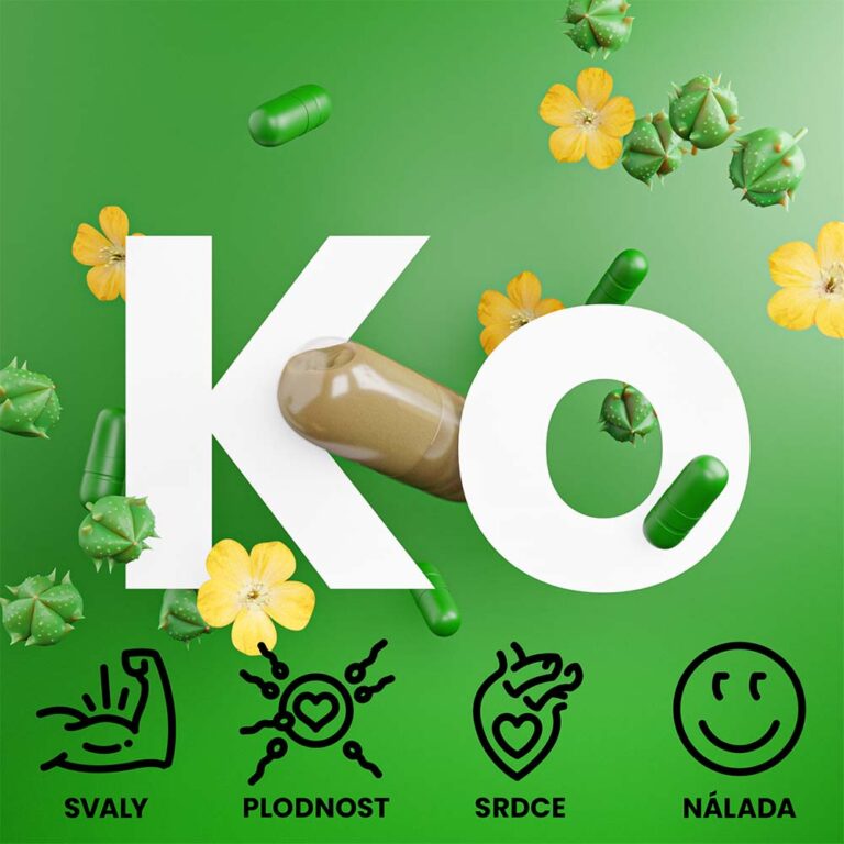 Kotvičník